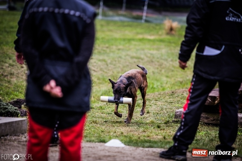 Zdjęcie w galerii na portalu naszraciborz.pl: Mistrzostwa Polski w mondioringu. Do Nędzy zjadą najlepsi trenerzy psów. wiadomości z regionu