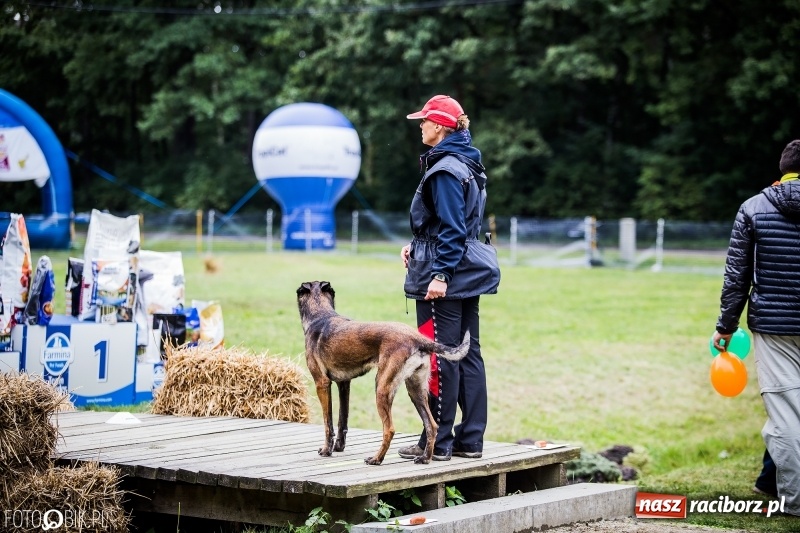 Zdjęcie w galerii na portalu naszraciborz.pl: Mistrzostwa Polski w mondioringu. Do Nędzy zjadą najlepsi trenerzy psów. wiadomości z regionu