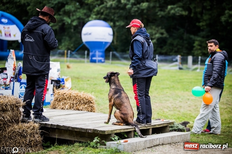 Zdjęcie w galerii na portalu naszraciborz.pl: Mistrzostwa Polski w mondioringu. Do Nędzy zjadą najlepsi trenerzy psów. wiadomości z regionu