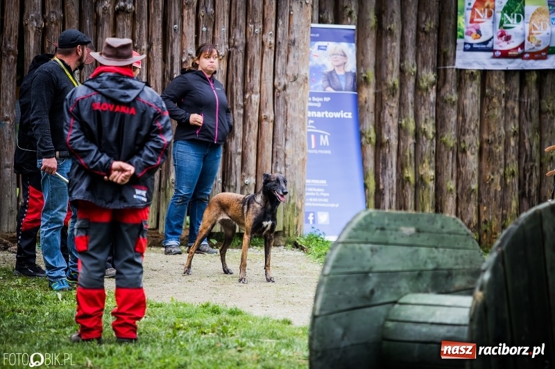 Zdjęcie w galerii na portalu naszraciborz.pl: Mistrzostwa Polski w mondioringu. Do Nędzy zjadą najlepsi trenerzy psów. wiadomości z regionu