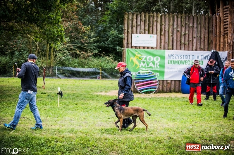 Zdjęcie w galerii na portalu naszraciborz.pl: Mistrzostwa Polski w mondioringu. Do Nędzy zjadą najlepsi trenerzy psów. wiadomości z regionu