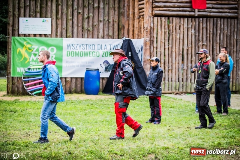Zdjęcie w galerii na portalu naszraciborz.pl: Mistrzostwa Polski w mondioringu. Do Nędzy zjadą najlepsi trenerzy psów. wiadomości z regionu