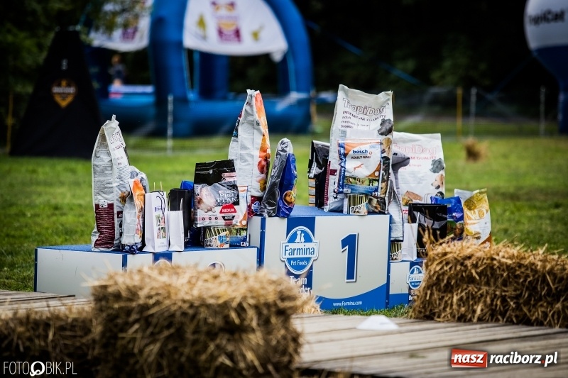 Zdjęcie w galerii na portalu naszraciborz.pl: Mistrzostwa Polski w mondioringu. Do Nędzy zjadą najlepsi trenerzy psów. wiadomości z regionu