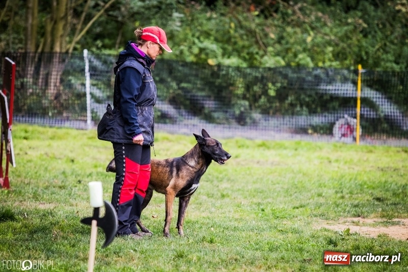 Zdjęcie w galerii na portalu naszraciborz.pl: Mistrzostwa Polski w mondioringu. Do Nędzy zjadą najlepsi trenerzy psów. wiadomości z regionu
