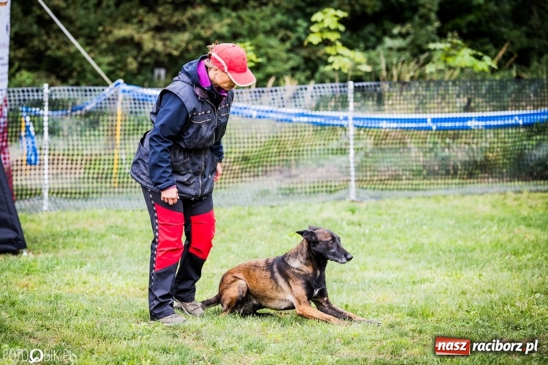 Zdjęcie w galerii na portalu naszraciborz.pl: Mistrzostwa Polski w mondioringu. Do Nędzy zjadą najlepsi trenerzy psów. wiadomości z regionu