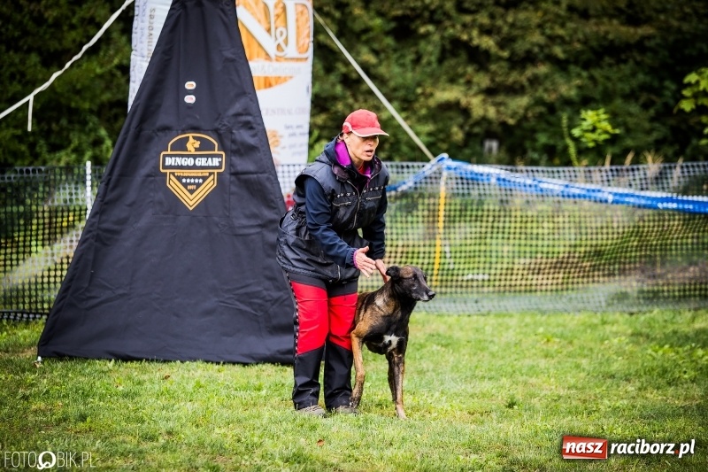 Zdjęcie w galerii na portalu naszraciborz.pl: Mistrzostwa Polski w mondioringu. Do Nędzy zjadą najlepsi trenerzy psów. wiadomości z regionu