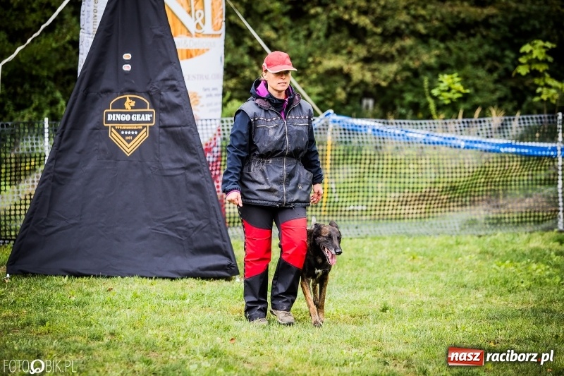 Zdjęcie w galerii na portalu naszraciborz.pl: Mistrzostwa Polski w mondioringu. Do Nędzy zjadą najlepsi trenerzy psów. wiadomości z regionu
