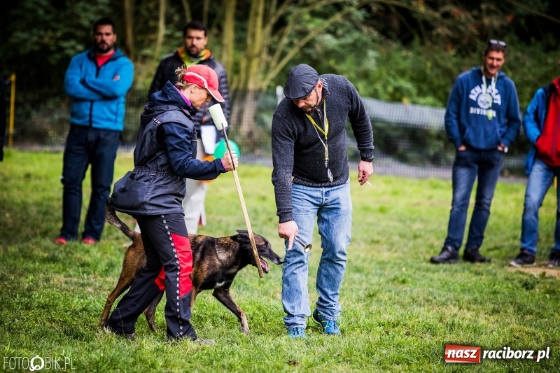 Zdjęcie w galerii na portalu naszraciborz.pl: Mistrzostwa Polski w mondioringu. Do Nędzy zjadą najlepsi trenerzy psów. wiadomości z regionu