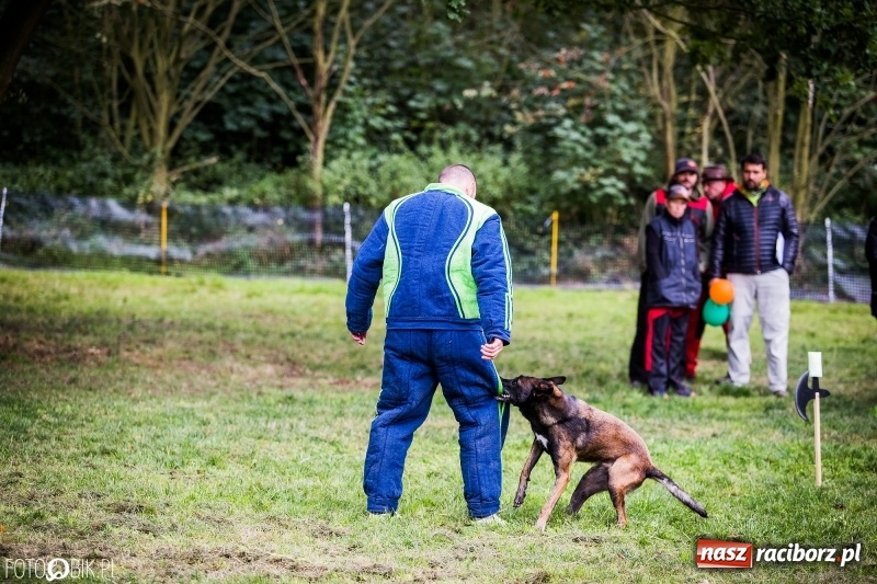 Zdjęcie w galerii na portalu naszraciborz.pl: Mistrzostwa Polski w mondioringu. Do Nędzy zjadą najlepsi trenerzy psów. wiadomości z regionu