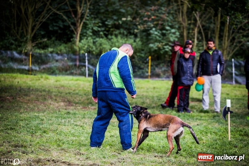 Zdjęcie w galerii na portalu naszraciborz.pl: Mistrzostwa Polski w mondioringu. Do Nędzy zjadą najlepsi trenerzy psów. wiadomości z regionu