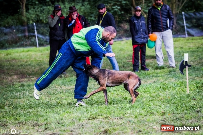 Zdjęcie w galerii na portalu naszraciborz.pl: Mistrzostwa Polski w mondioringu. Do Nędzy zjadą najlepsi trenerzy psów. wiadomości z regionu