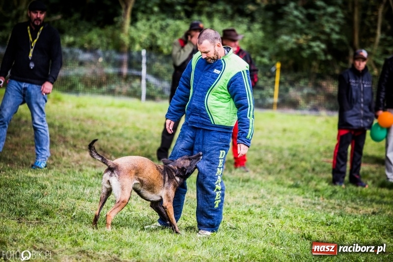 Zdjęcie w galerii na portalu naszraciborz.pl: Mistrzostwa Polski w mondioringu. Do Nędzy zjadą najlepsi trenerzy psów. wiadomości z regionu