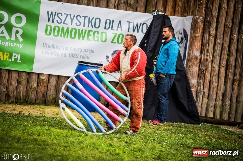 Zdjęcie w galerii na portalu naszraciborz.pl: Mistrzostwa Polski w mondioringu. Do Nędzy zjadą najlepsi trenerzy psów. wiadomości z regionu