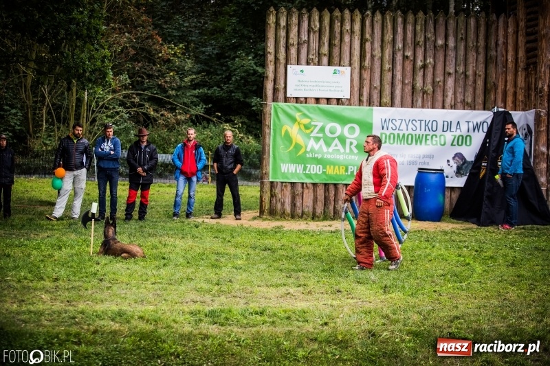Zdjęcie w galerii na portalu naszraciborz.pl: Mistrzostwa Polski w mondioringu. Do Nędzy zjadą najlepsi trenerzy psów. wiadomości z regionu