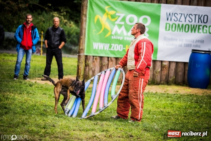 Zdjęcie w galerii na portalu naszraciborz.pl: Mistrzostwa Polski w mondioringu. Do Nędzy zjadą najlepsi trenerzy psów. wiadomości z regionu