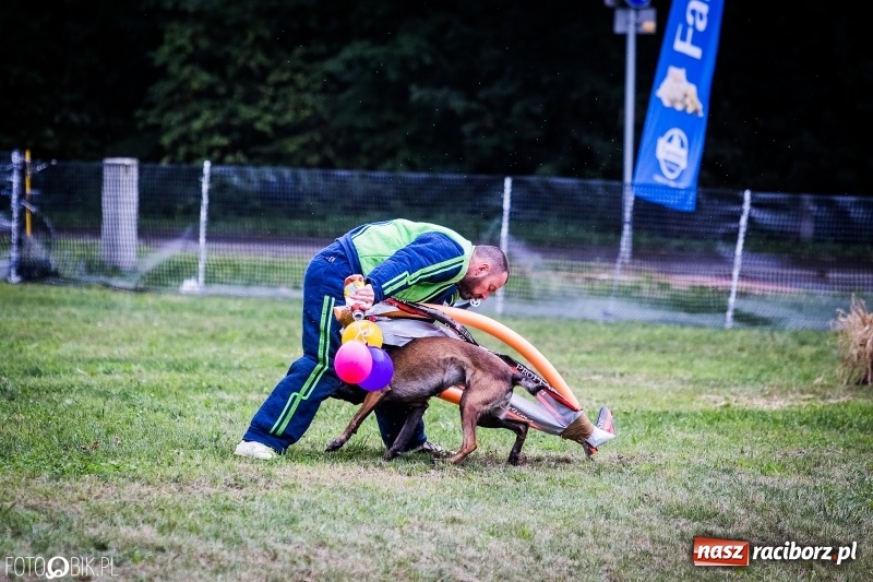 Zdjęcie w galerii na portalu naszraciborz.pl: Mistrzostwa Polski w mondioringu. Do Nędzy zjadą najlepsi trenerzy psów. wiadomości z regionu