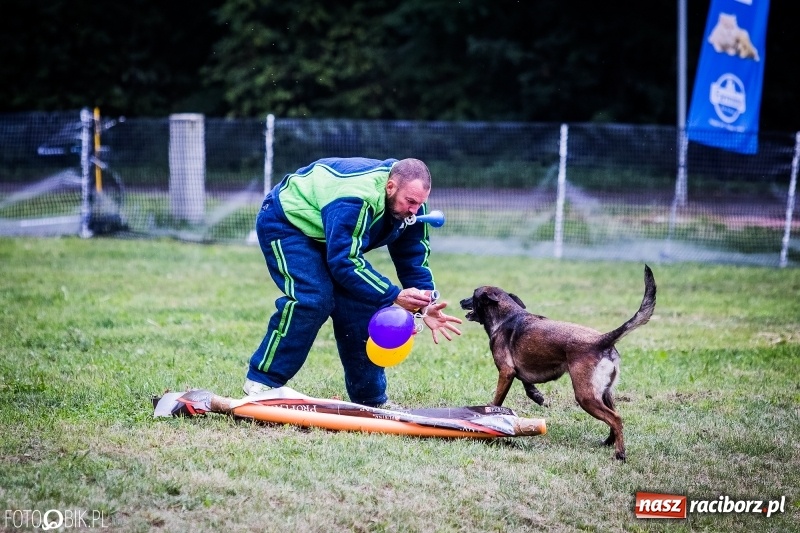 Zdjęcie w galerii na portalu naszraciborz.pl: Mistrzostwa Polski w mondioringu. Do Nędzy zjadą najlepsi trenerzy psów. wiadomości z regionu