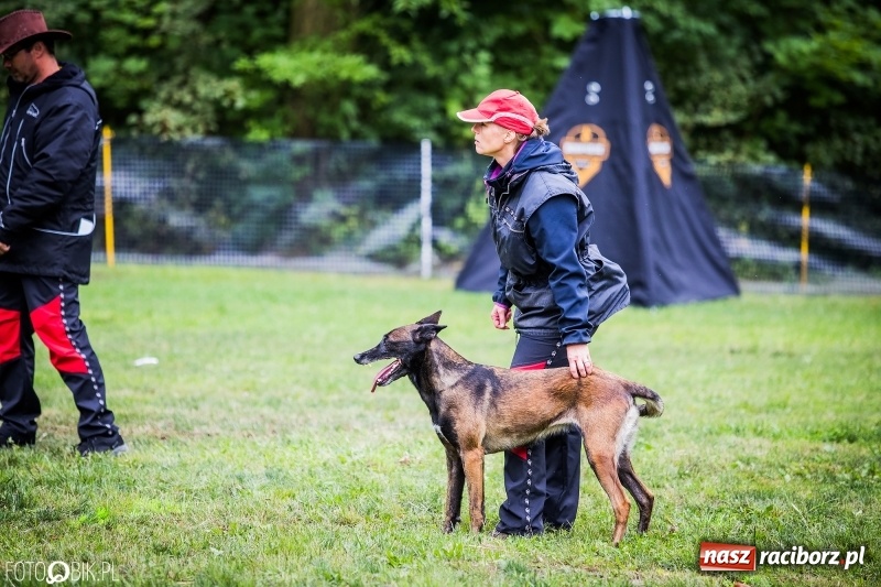 Zdjęcie w galerii na portalu naszraciborz.pl: Mistrzostwa Polski w mondioringu. Do Nędzy zjadą najlepsi trenerzy psów. wiadomości z regionu