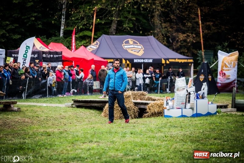 Zdjęcie w galerii na portalu naszraciborz.pl: Mistrzostwa Polski w mondioringu. Do Nędzy zjadą najlepsi trenerzy psów. wiadomości z regionu