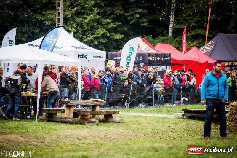 Zdjęcie w galerii na portalu naszraciborz.pl: Mistrzostwa Polski w mondioringu. Do Nędzy zjadą najlepsi trenerzy psów. wiadomości z regionu
