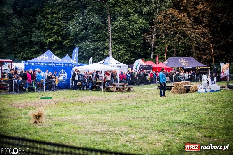 Zdjęcie w galerii na portalu naszraciborz.pl: Mistrzostwa Polski w mondioringu. Do Nędzy zjadą najlepsi trenerzy psów. wiadomości z regionu
