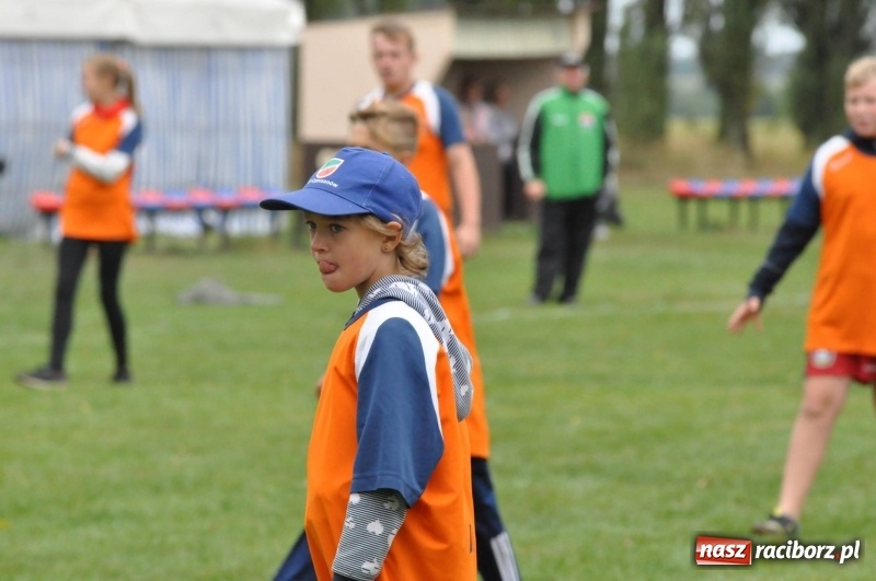 Zdjęcie w galerii na portalu naszraciborz.pl: W Wojnowicach ostro rywalizują w palanta  wiadomości z regionu