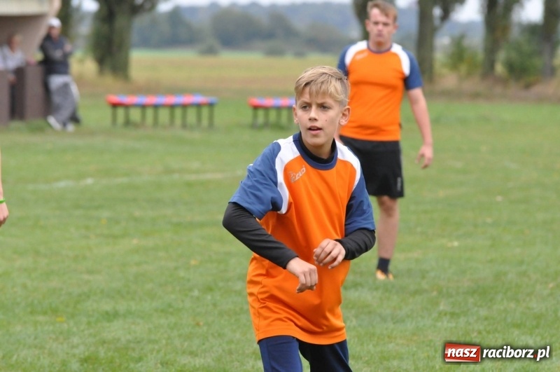 Zdjęcie w galerii na portalu naszraciborz.pl: W Wojnowicach ostro rywalizują w palanta  wiadomości z regionu