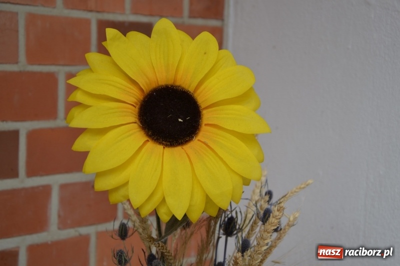 Zdjęcie w galerii na portalu naszraciborz.pl: Narodowe Czytanie na Zamku Piastowskim wiadomości z regionu