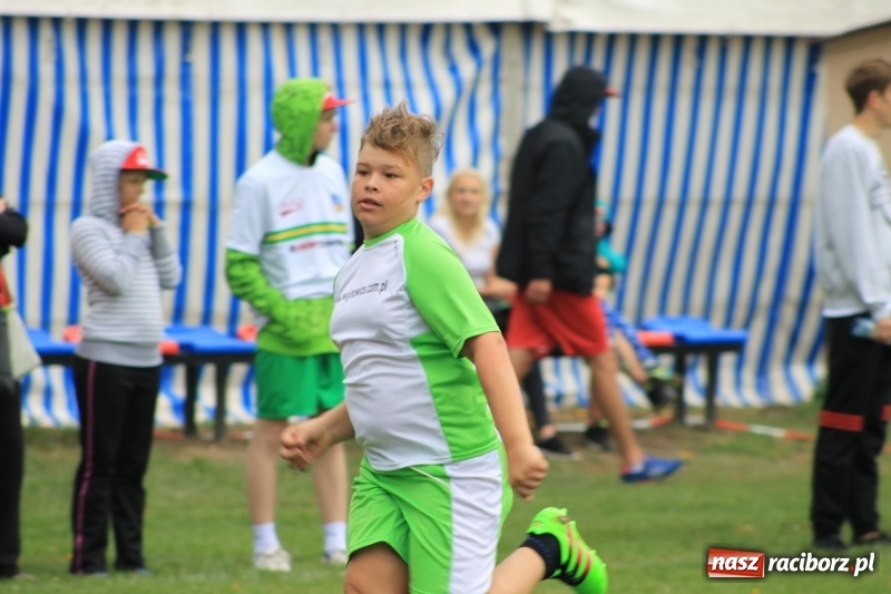 Zdjęcie w galerii na portalu naszraciborz.pl: Wojnowice i Cyprzanów Mistrzami Polski w Piłce Palantowej 2017 wiadomości z regionu