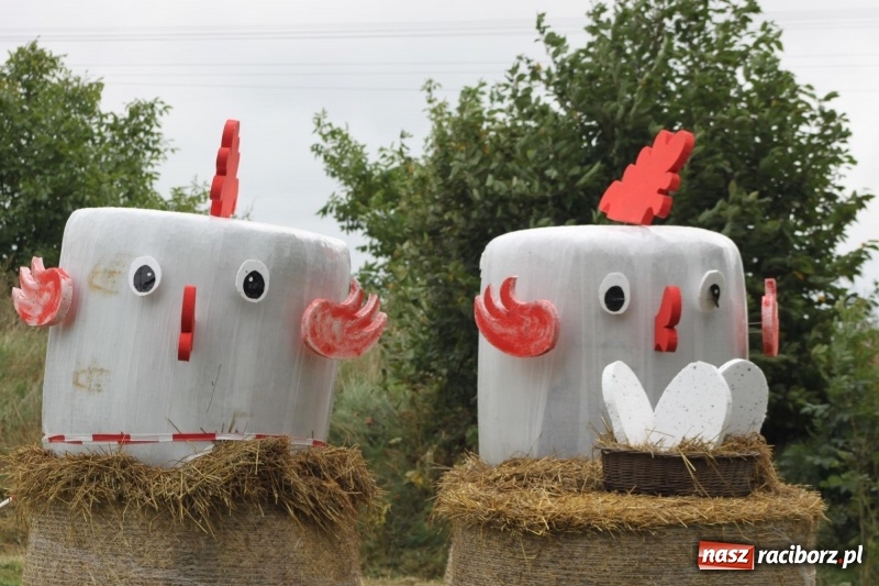 Zdjęcie w galerii na portalu naszraciborz.pl: Wojnowice i Cyprzanów Mistrzami Polski w Piłce Palantowej 2017 wiadomości z regionu