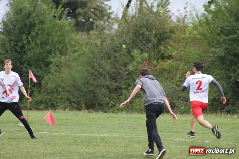 Zdjęcie w galerii na portalu naszraciborz.pl: Wojnowice i Cyprzanów Mistrzami Polski w Piłce Palantowej 2017 wiadomości z regionu