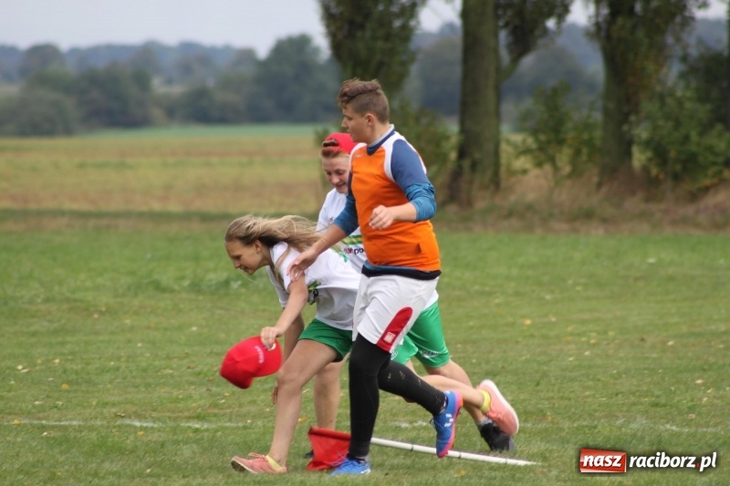 Zdjęcie w galerii na portalu naszraciborz.pl: Wojnowice i Cyprzanów Mistrzami Polski w Piłce Palantowej 2017 wiadomości z regionu