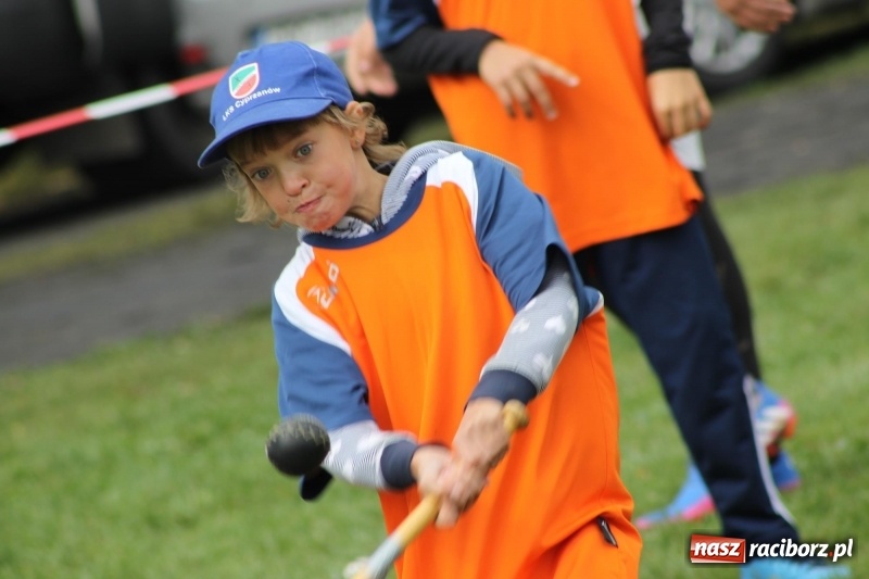 Zdjęcie w galerii na portalu naszraciborz.pl: Wojnowice i Cyprzanów Mistrzami Polski w Piłce Palantowej 2017 wiadomości z regionu