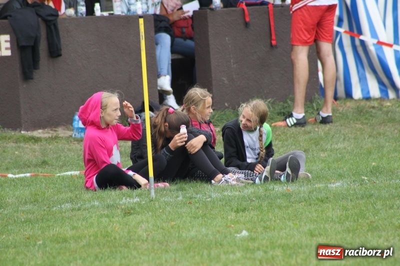 Zdjęcie w galerii na portalu naszraciborz.pl: Wojnowice i Cyprzanów Mistrzami Polski w Piłce Palantowej 2017 wiadomości z regionu