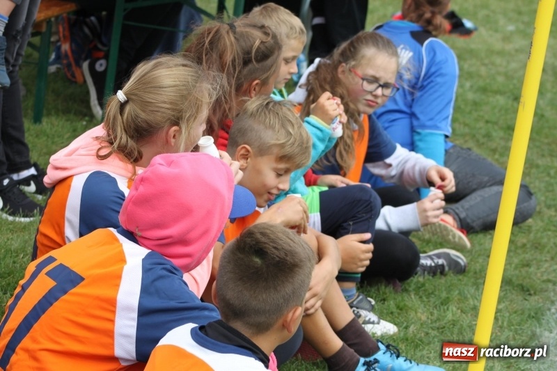 Zdjęcie w galerii na portalu naszraciborz.pl: Wojnowice i Cyprzanów Mistrzami Polski w Piłce Palantowej 2017 wiadomości z regionu