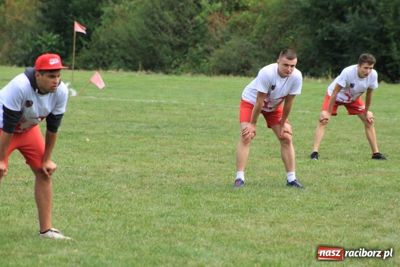Zdjęcie w galerii na portalu naszraciborz.pl: Wojnowice i Cyprzanów Mistrzami Polski w Piłce Palantowej 2017 wiadomości z regionu