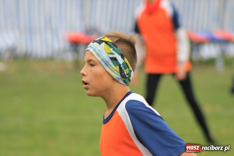 Zdjęcie w galerii na portalu naszraciborz.pl: Wojnowice i Cyprzanów Mistrzami Polski w Piłce Palantowej 2017 wiadomości z regionu