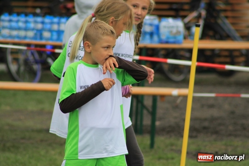 Zdjęcie w galerii na portalu naszraciborz.pl: Wojnowice i Cyprzanów Mistrzami Polski w Piłce Palantowej 2017 wiadomości z regionu