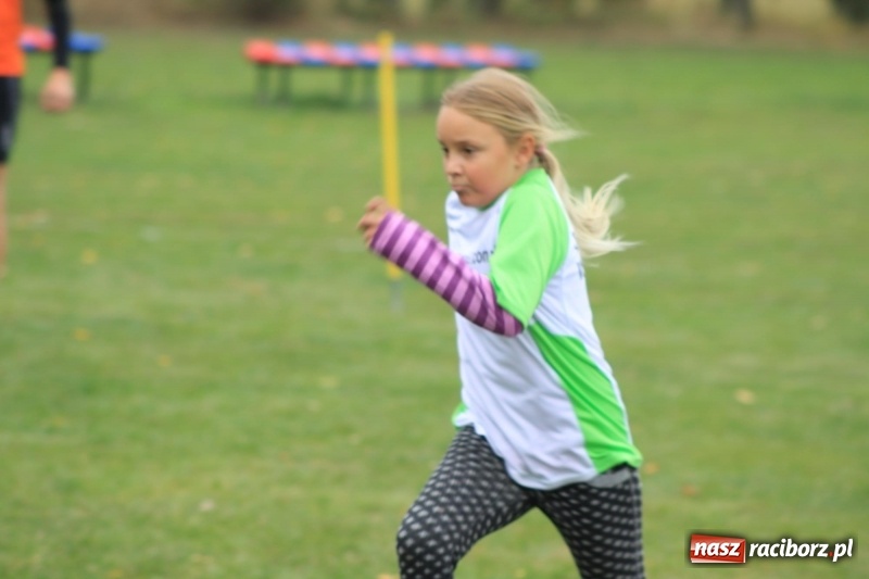 Zdjęcie w galerii na portalu naszraciborz.pl: Wojnowice i Cyprzanów Mistrzami Polski w Piłce Palantowej 2017 wiadomości z regionu