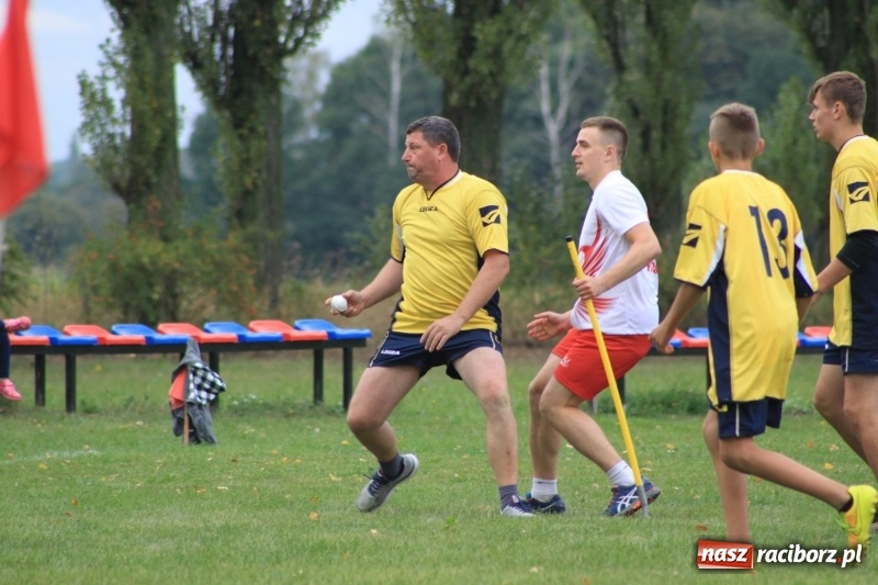 Zdjęcie w galerii na portalu naszraciborz.pl: Wojnowice i Cyprzanów Mistrzami Polski w Piłce Palantowej 2017 wiadomości z regionu