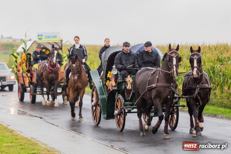 Zdjęcie w galerii na portalu naszraciborz.pl: Gminne dożynki Pietrowic Wielkich w Kornicach. Pogoda nie była łaskawa, ale humory dopisały FOTO i WIDEO wiadomości z regionu