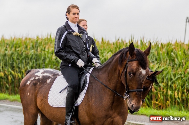 Zdjęcie w galerii na portalu naszraciborz.pl: Gminne dożynki Pietrowic Wielkich w Kornicach. Pogoda nie była łaskawa, ale humory dopisały FOTO i WIDEO wiadomości z regionu