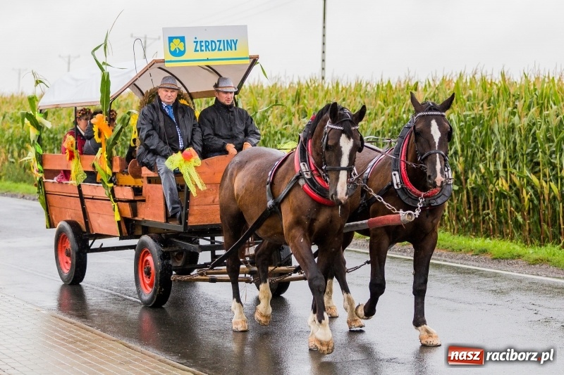 Zdjęcie w galerii na portalu naszraciborz.pl: Gminne dożynki Pietrowic Wielkich w Kornicach. Pogoda nie była łaskawa, ale humory dopisały FOTO i WIDEO wiadomości z regionu