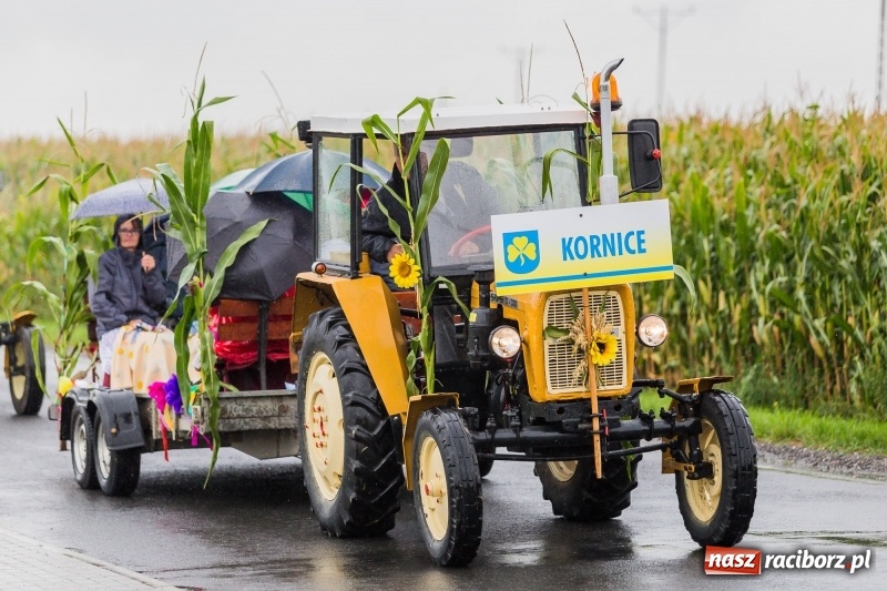 Zdjęcie w galerii na portalu naszraciborz.pl: Gminne dożynki Pietrowic Wielkich w Kornicach. Pogoda nie była łaskawa, ale humory dopisały FOTO i WIDEO wiadomości z regionu