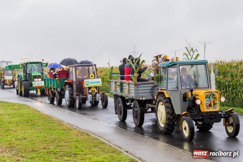 Zdjęcie w galerii na portalu naszraciborz.pl: Gminne dożynki Pietrowic Wielkich w Kornicach. Pogoda nie była łaskawa, ale humory dopisały FOTO i WIDEO wiadomości z regionu