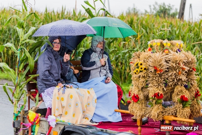 Zdjęcie w galerii na portalu naszraciborz.pl: Gminne dożynki Pietrowic Wielkich w Kornicach. Pogoda nie była łaskawa, ale humory dopisały FOTO i WIDEO wiadomości z regionu
