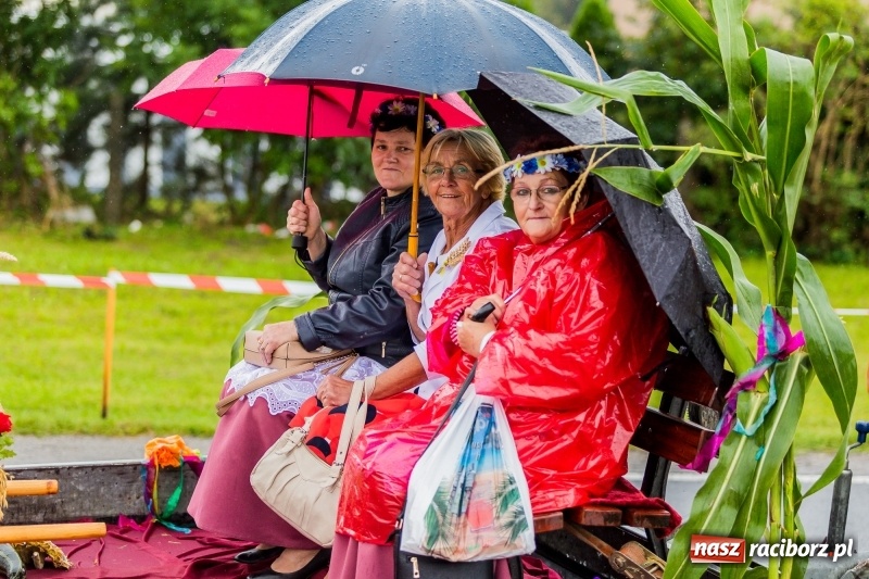 Zdjęcie w galerii na portalu naszraciborz.pl: Gminne dożynki Pietrowic Wielkich w Kornicach. Pogoda nie była łaskawa, ale humory dopisały FOTO i WIDEO wiadomości z regionu
