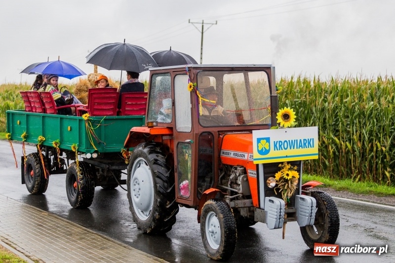 Zdjęcie w galerii na portalu naszraciborz.pl: Gminne dożynki Pietrowic Wielkich w Kornicach. Pogoda nie była łaskawa, ale humory dopisały FOTO i WIDEO wiadomości z regionu