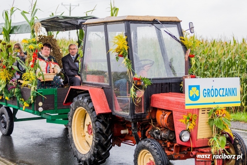 Zdjęcie w galerii na portalu naszraciborz.pl: Gminne dożynki Pietrowic Wielkich w Kornicach. Pogoda nie była łaskawa, ale humory dopisały FOTO i WIDEO wiadomości z regionu