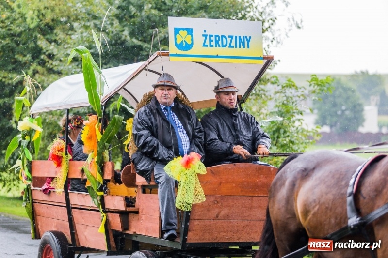 Zdjęcie w galerii na portalu naszraciborz.pl: Gminne dożynki Pietrowic Wielkich w Kornicach. Pogoda nie była łaskawa, ale humory dopisały FOTO i WIDEO wiadomości z regionu